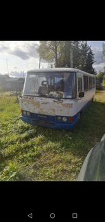 Тойота кастер