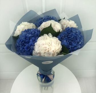 Гортензия 7шт