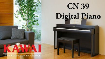 Kawai CN39R цифровое пианино