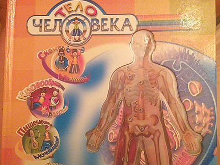 Книга для детей о теле человека