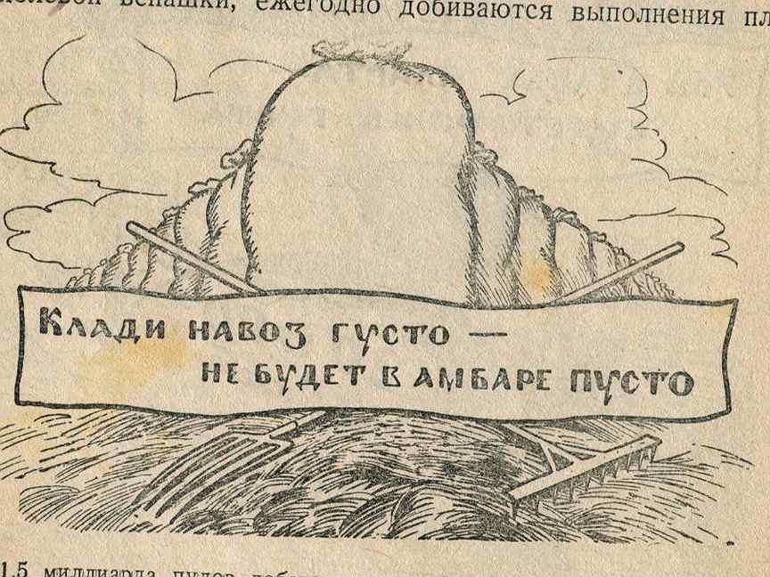 Смешные картинки про навоз