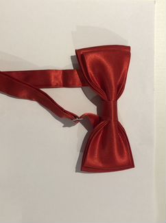 Бабочки мужские