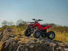 Квадроцикл Raptor Max Pro 150 2021 объявление продам