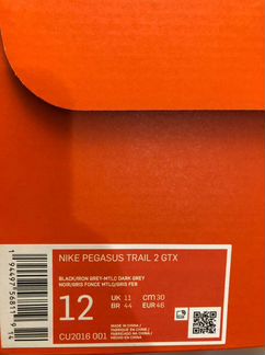 Кроссовки мужские Nike Pegasus Trail 2 GTX Black