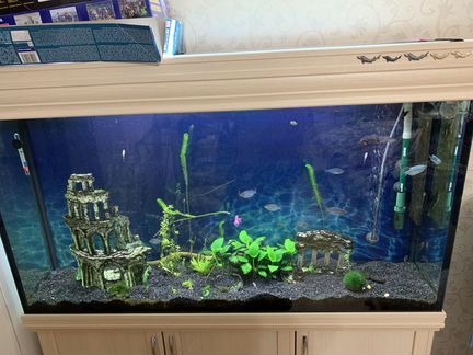 Аквариум