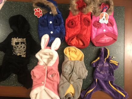 Стильная одежда для маленьких собачек