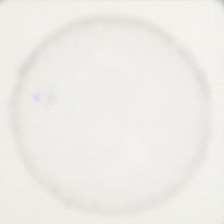 Продам машину шар в адопт ми/ adopt me