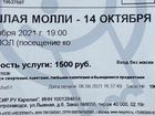 Билеты на концерт Пошлая Молли Мурманск