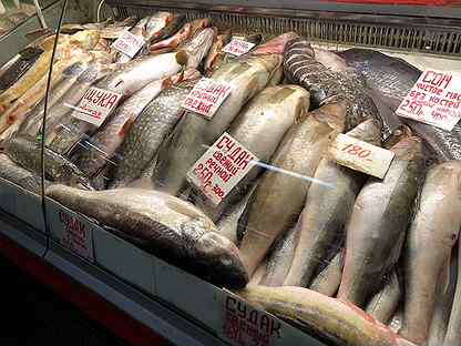 Купить свежую речную. Купить свежую речную рыбу в Павлове на Оке. Купить свежую речную рыбу в Нижнем Новгороде на автозаводе в контакте.
