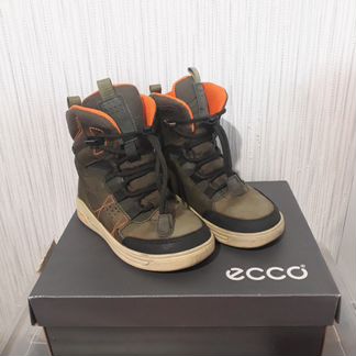 Зимние сапожки ecco